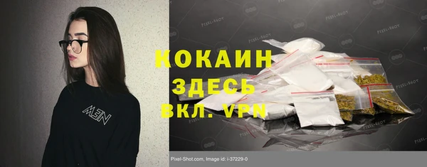 дживик Верхний Тагил
