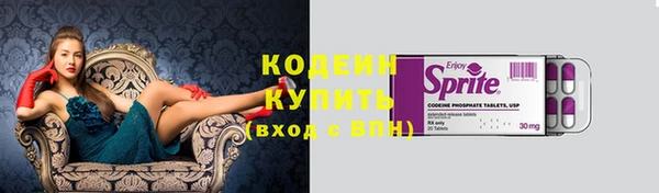 дживик Верхний Тагил